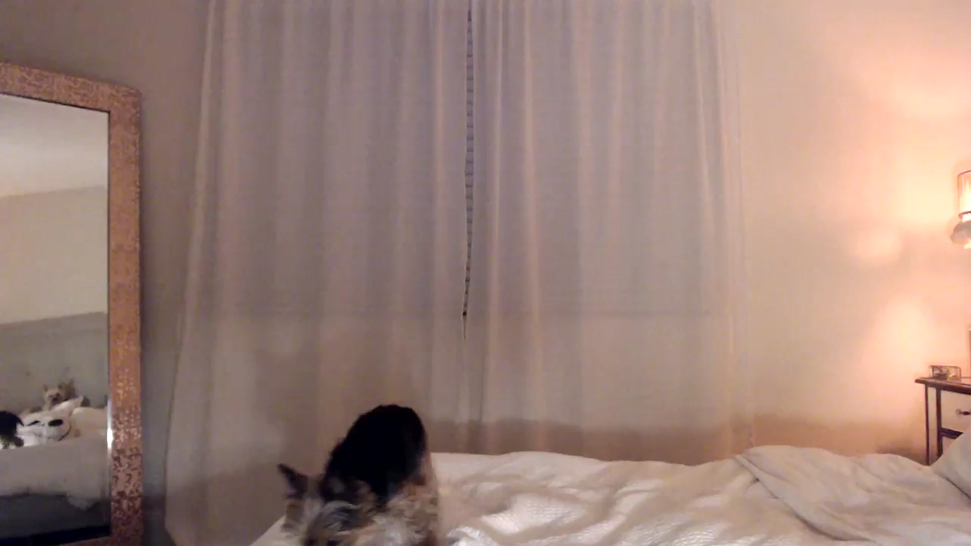 Gallery image thumbnail from DaniSendNudes's myfreecams stream on, 10/28/2023, 05:42 image 19 of 20