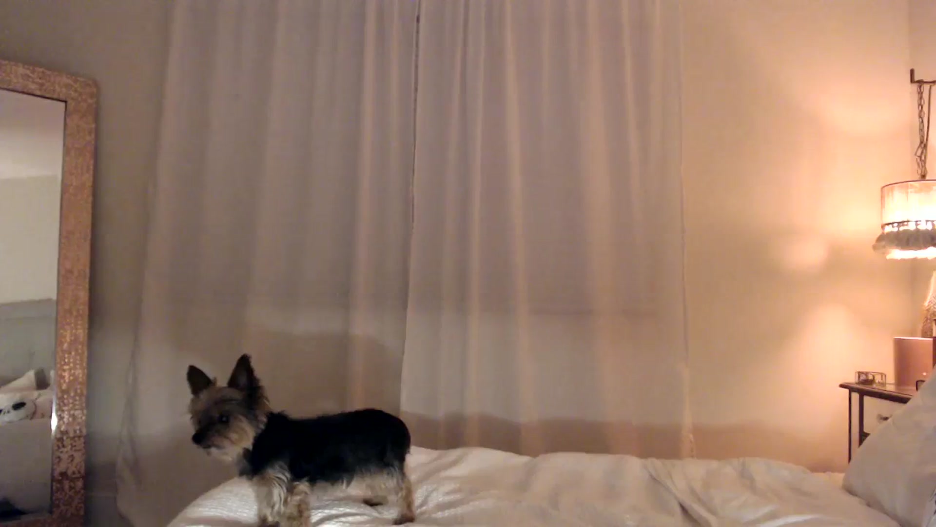Gallery image thumbnail from DaniSendNudes's myfreecams stream on, 11/08/2023, 04:08 image 18 of 20