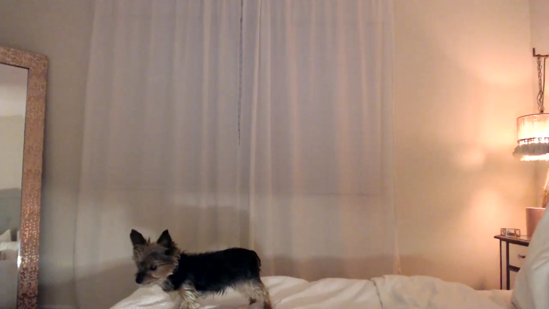 Gallery image thumbnail from DaniSendNudes's myfreecams stream on, 11/09/2023, 04:39 image 10 of 20