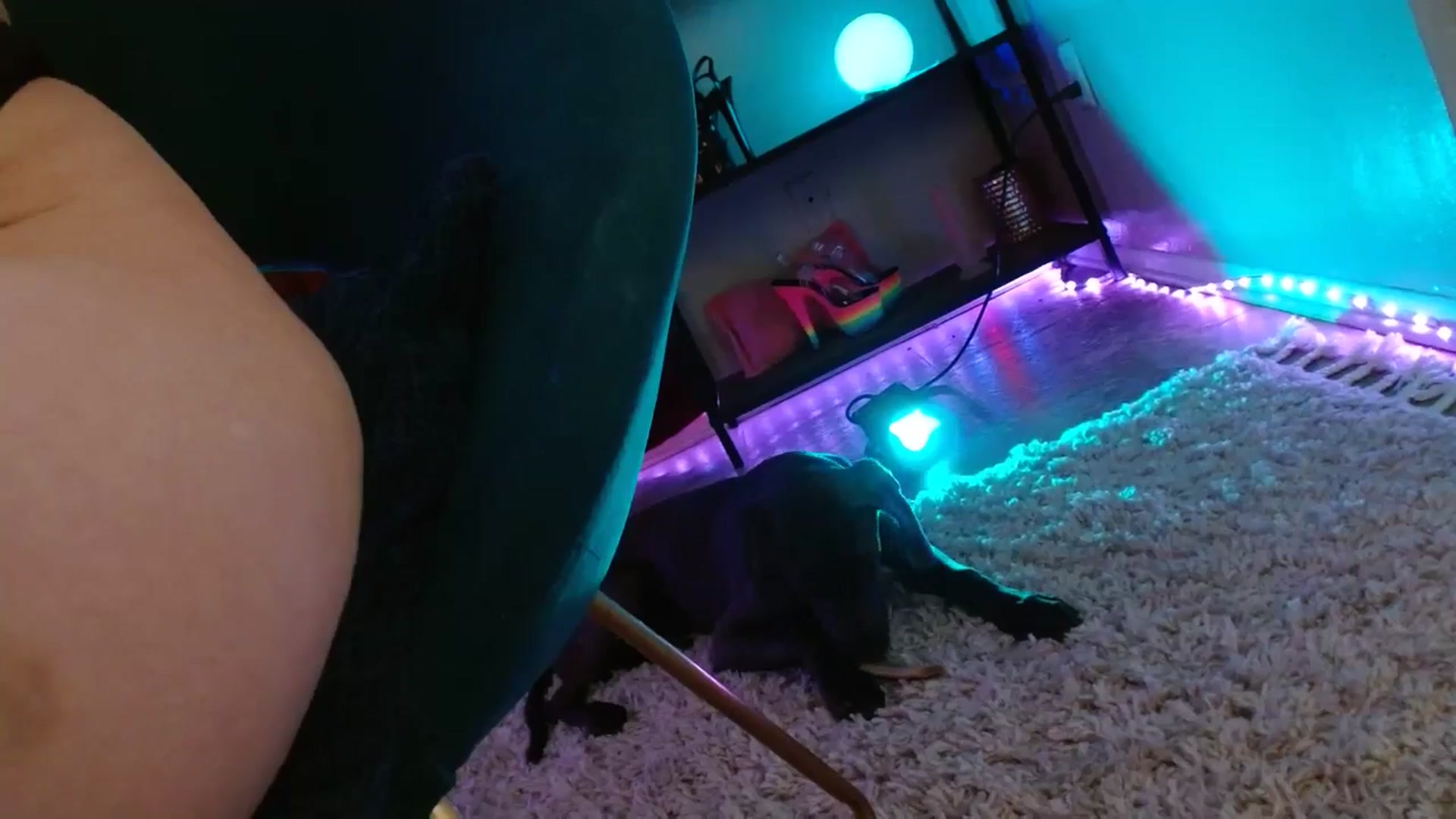 Gallery image thumbnail from DaniSlice's myfreecams stream on, 03/20/2025, 06:38 image 20 of 20