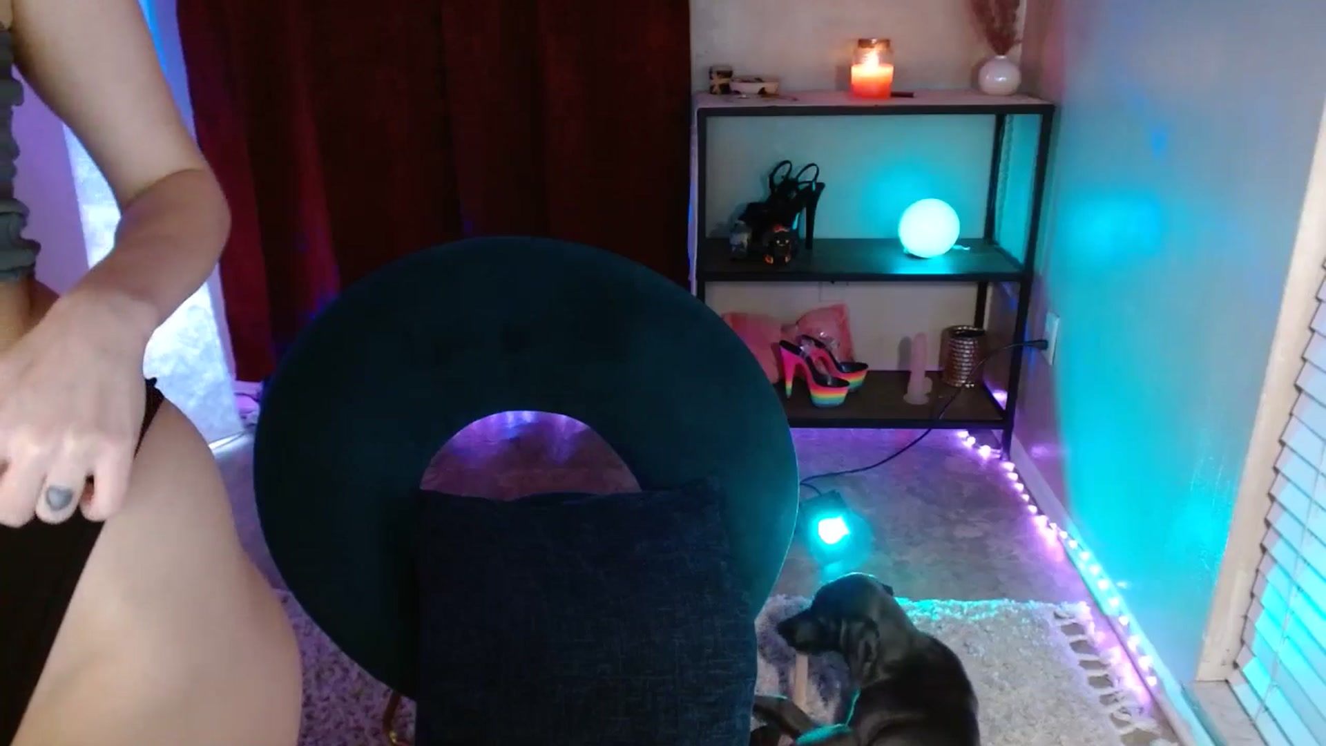 Gallery image thumbnail from DaniSlice's myfreecams stream on, 03/20/2025, 07:00 image 18 of 20