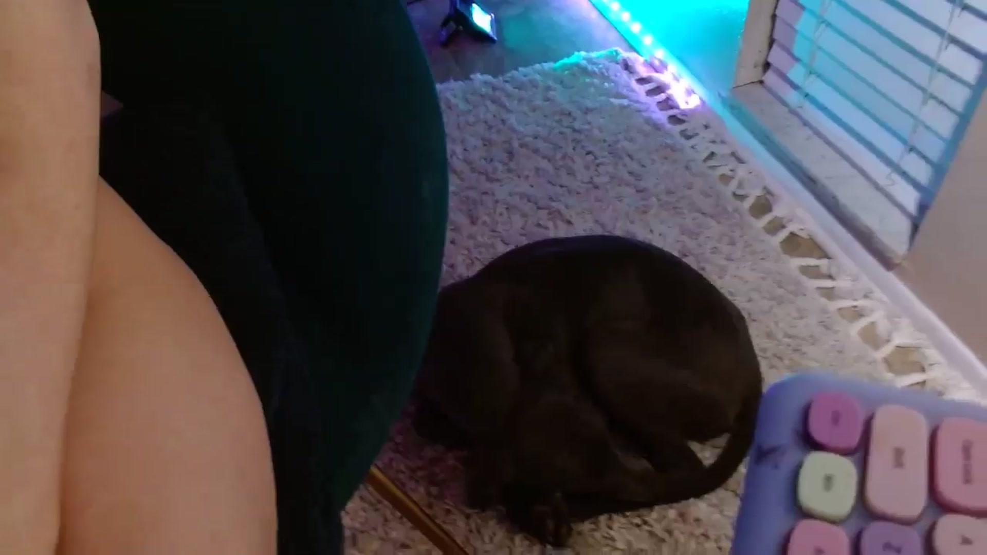 Gallery image thumbnail from DaniSlice's myfreecams stream on, 03/27/2025, 07:18 image 2 of 20