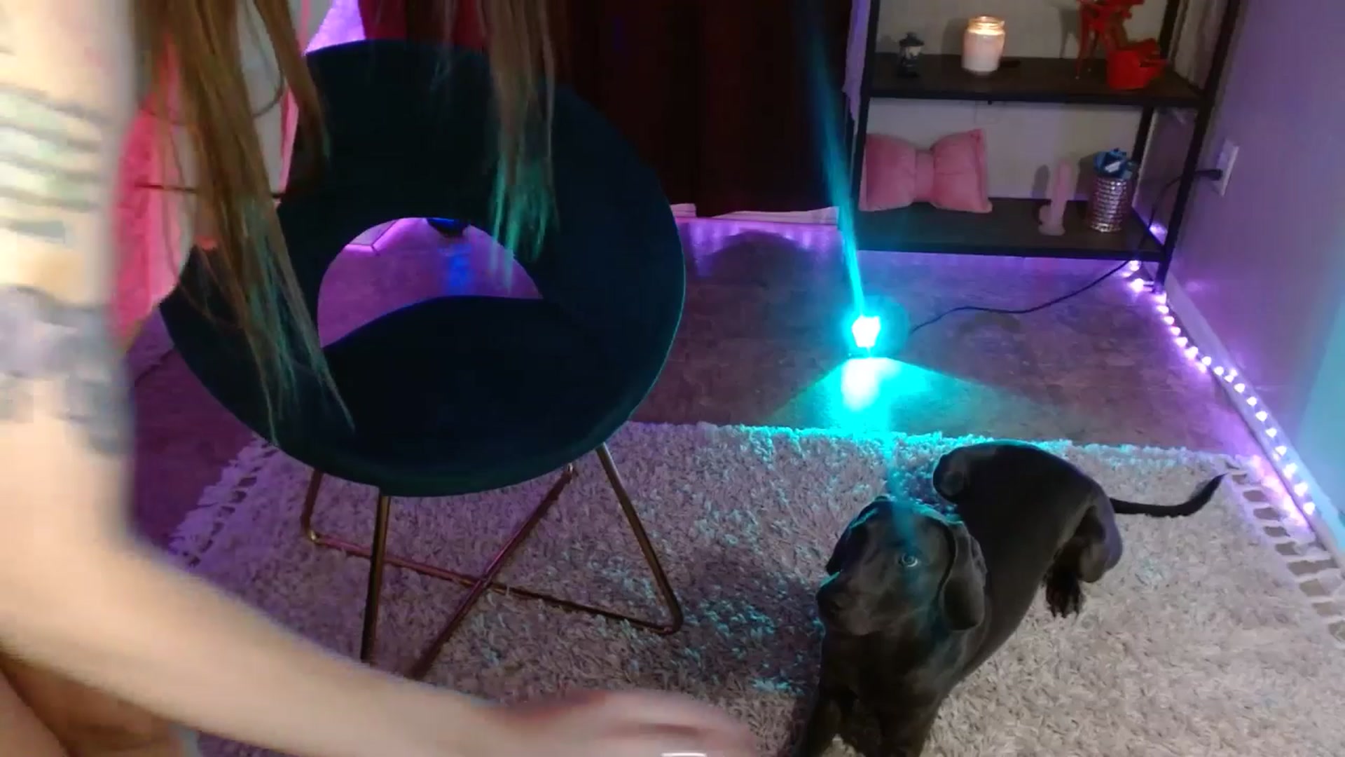 Gallery image thumbnail from DaniSlice's myfreecams stream on, 07/27/2025, 04:04 image 18 of 20