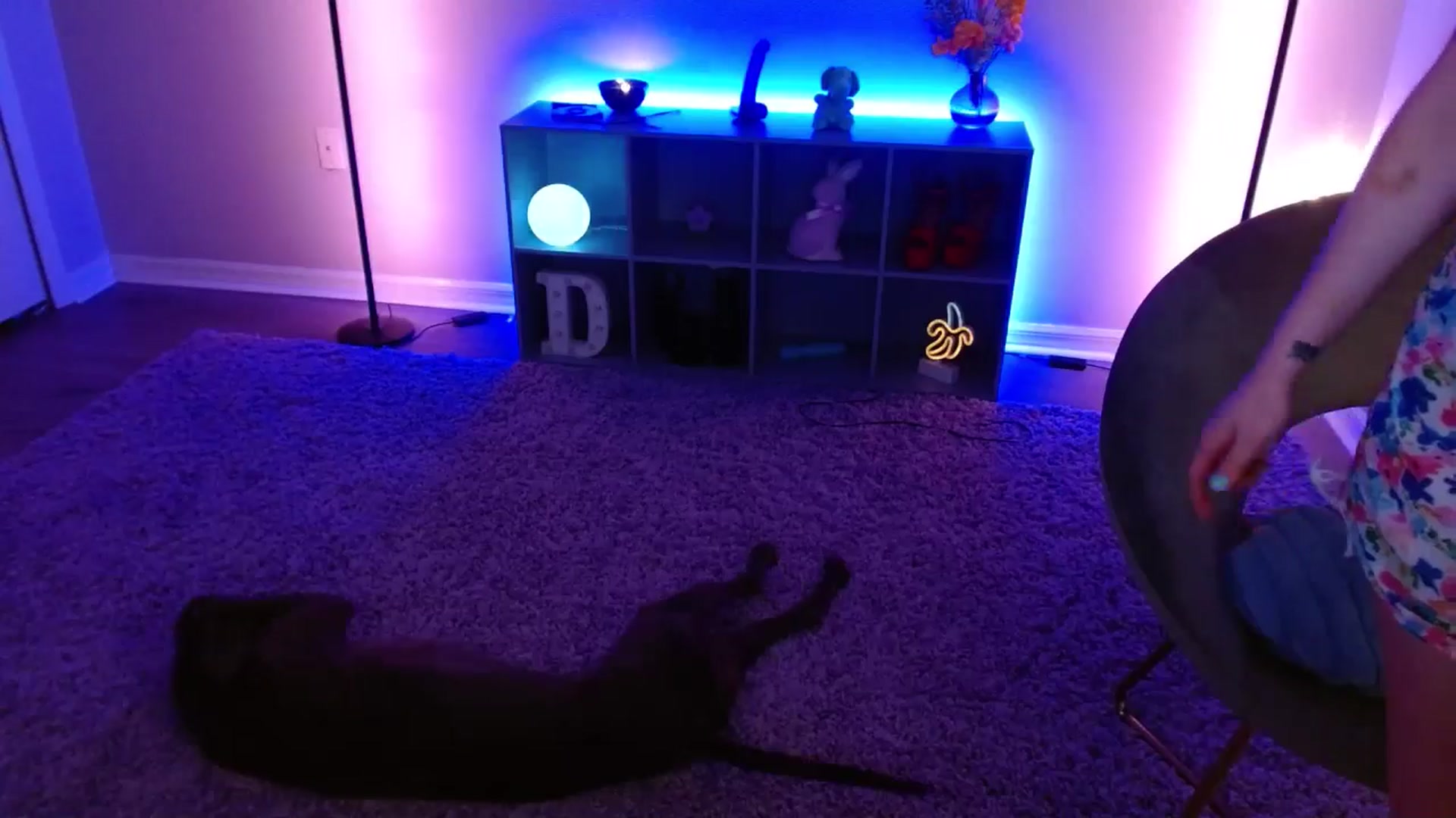 Gallery image thumbnail from DaniSlice's myfreecams stream on, 04/05/2026, 13:00 image 13 of 20