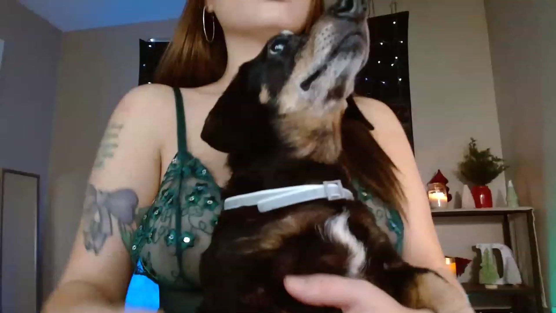 Gallery image thumbnail from DaniSpice's myfreecams stream on, 12/05/2022, 20:58 image 17 of 20