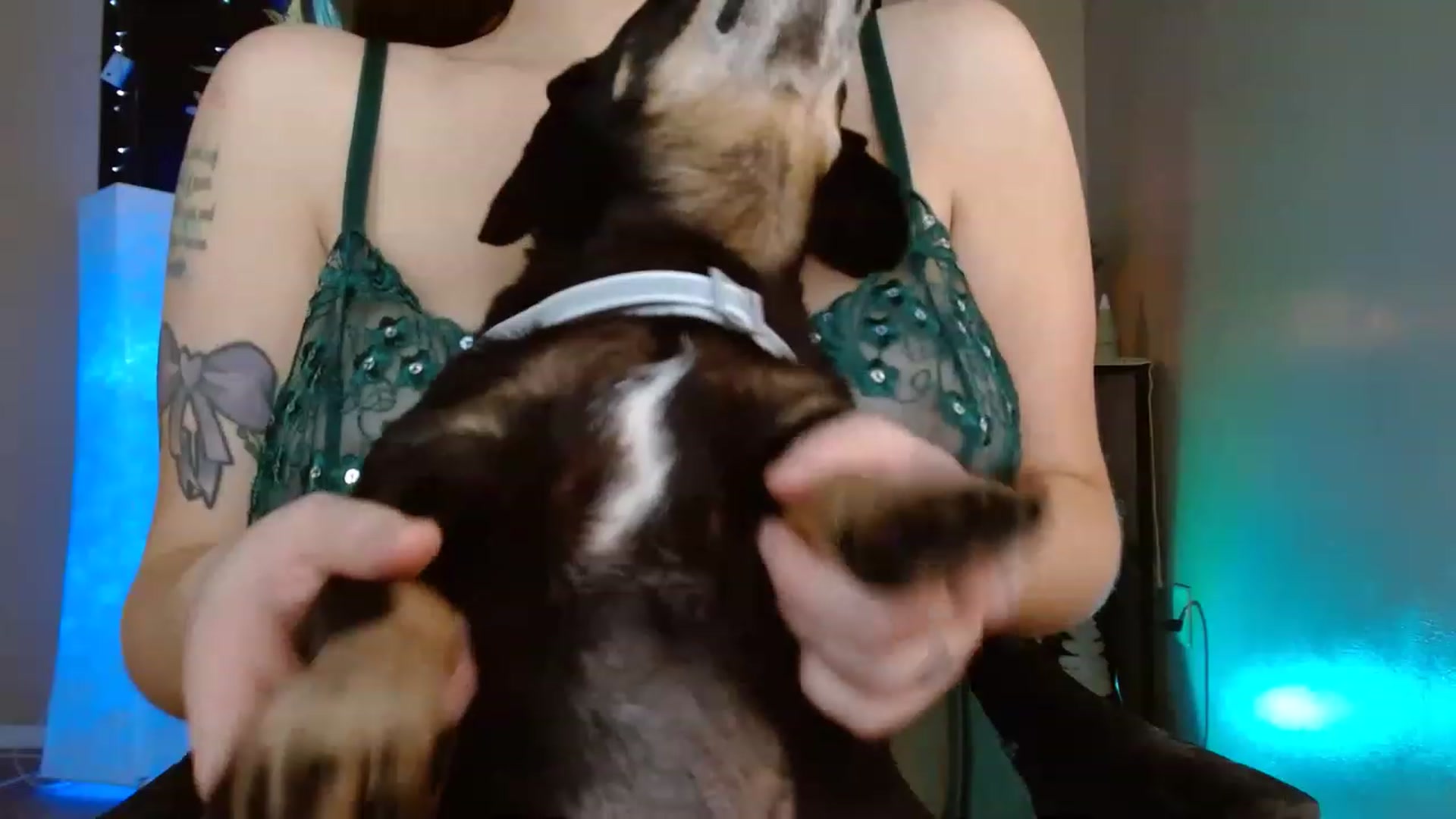 Gallery image thumbnail from DaniSpice's myfreecams stream on, 12/05/2022, 20:58 image 15 of 20