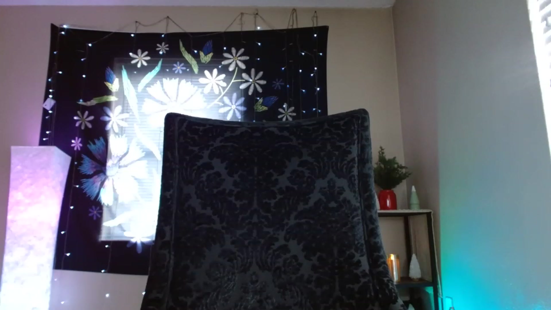 Gallery image thumbnail from DaniSpice's myfreecams stream on, 12/30/2022, 20:46 image 20 of 20