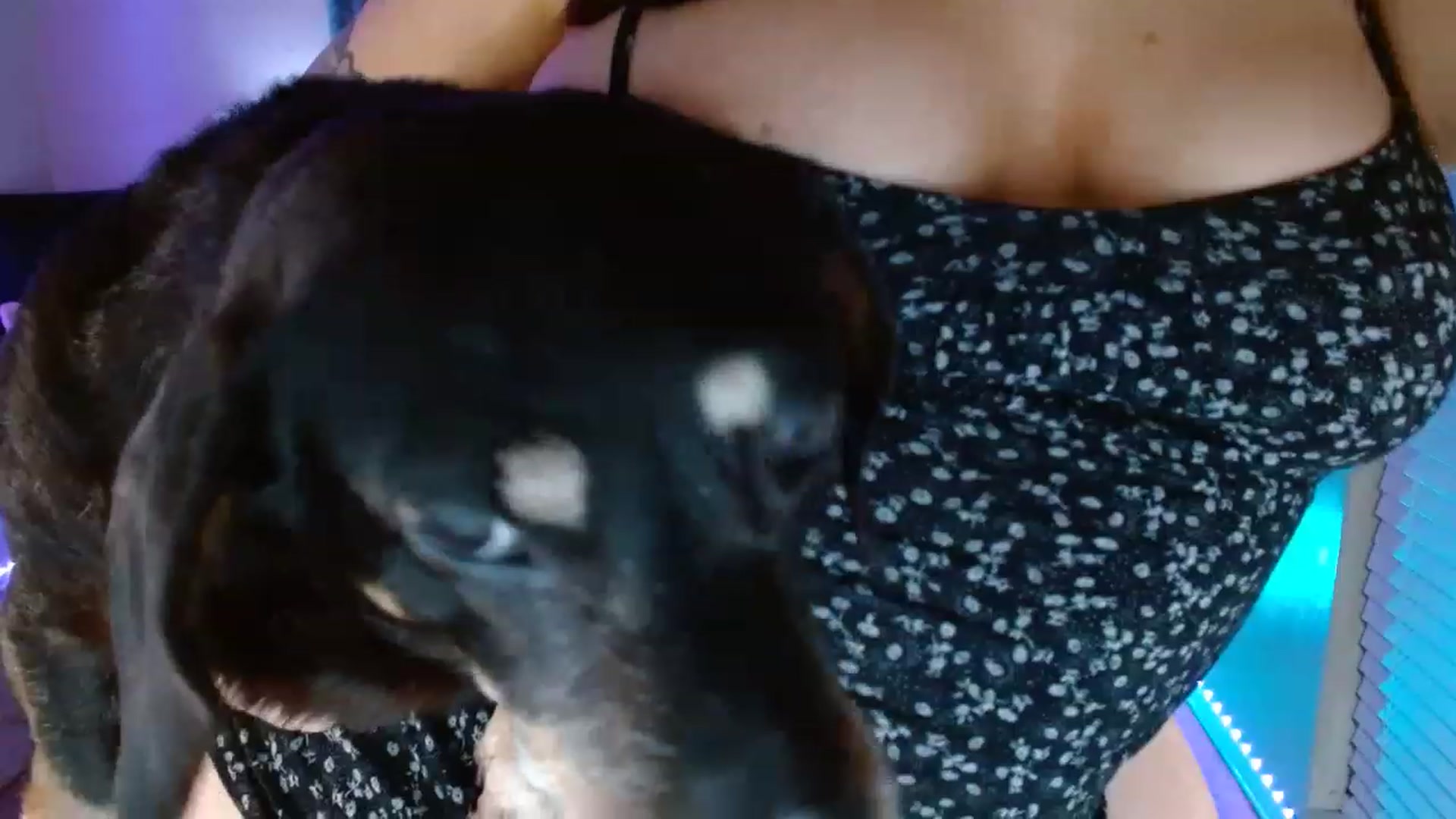 Gallery image thumbnail from DaniSpice's myfreecams stream on, 04/13/2023, 06:42 image 16 of 20