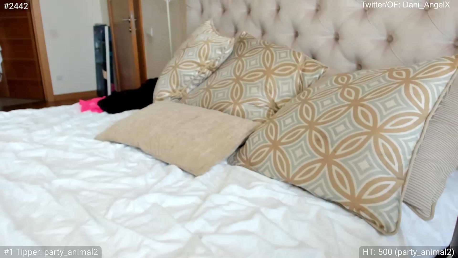 Gallery image thumbnail from Dani_Angel's myfreecams stream on, 06/13/2023, 10:39 image 11 of 20
