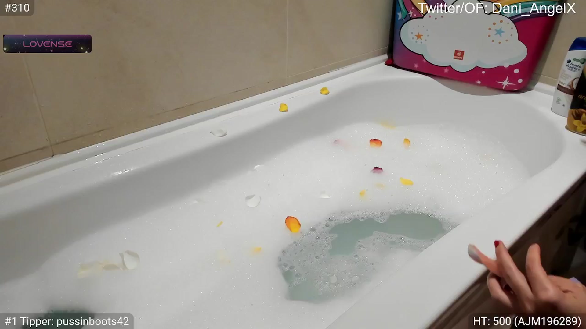 Gallery image thumbnail from Dani_Angel's myfreecams stream on, 05/29/2024, 15:54 image 9 of 20