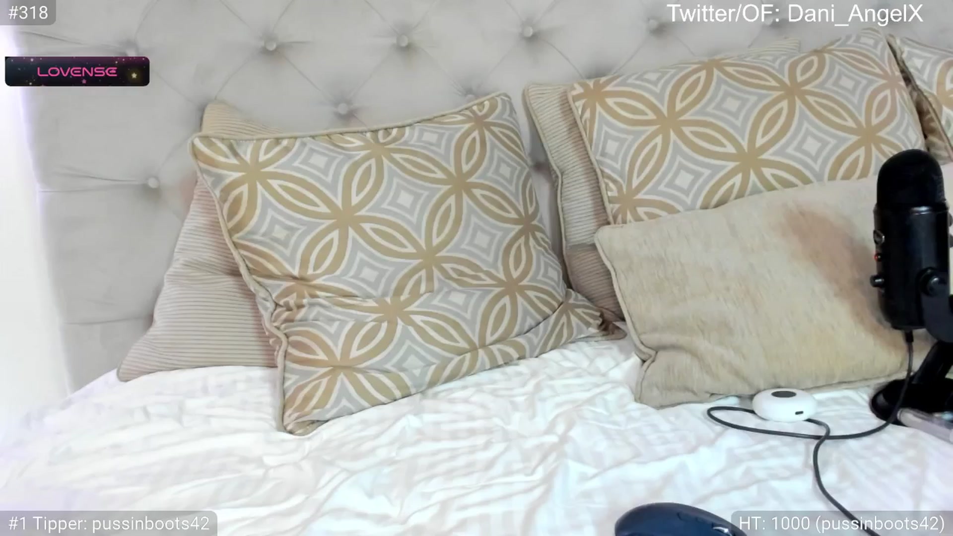 Gallery image thumbnail from Dani_Angel's myfreecams stream on, 07/07/2024, 23:38 image 15 of 20