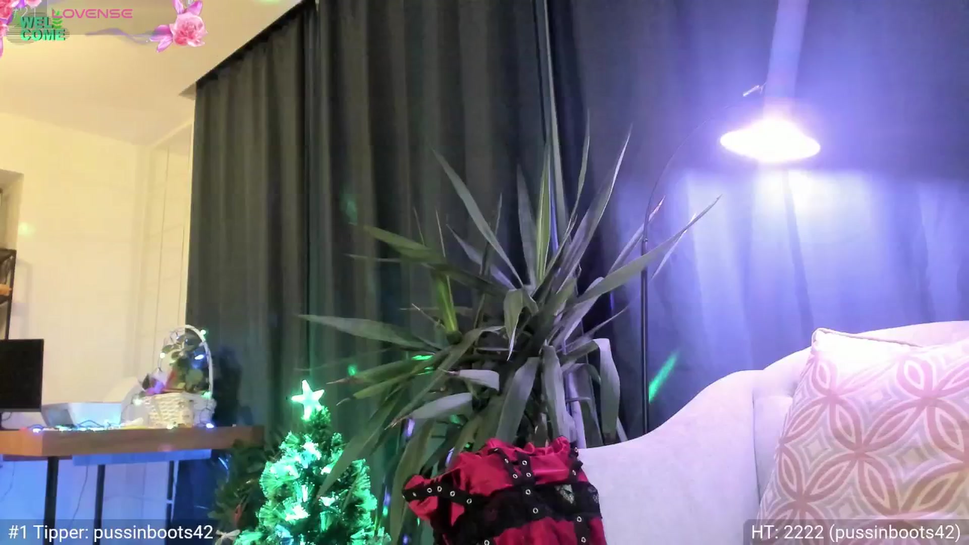 Gallery image thumbnail from Dani_Angel's myfreecams stream on, 11/21/2024, 01:15 image 16 of 20