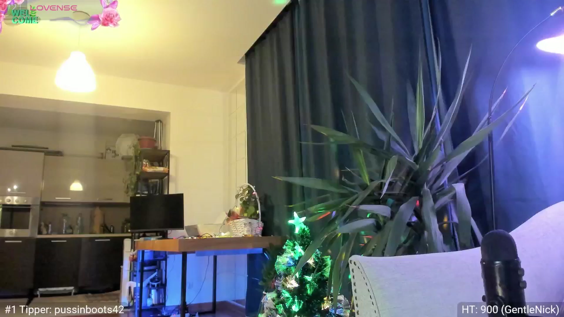 Gallery image thumbnail from Dani_Angel's myfreecams stream on, 11/21/2024, 01:15 image 8 of 20