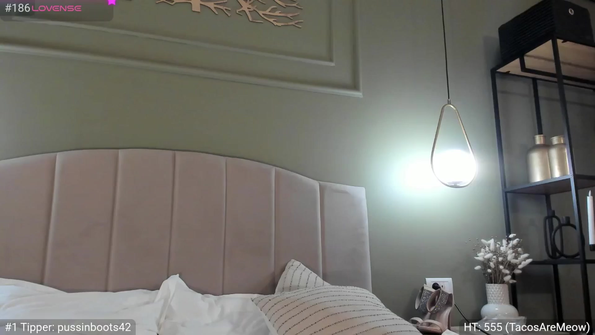 Gallery image thumbnail from Dani_Angel's myfreecams stream on, 03/28/2025, 21:58 image 8 of 20