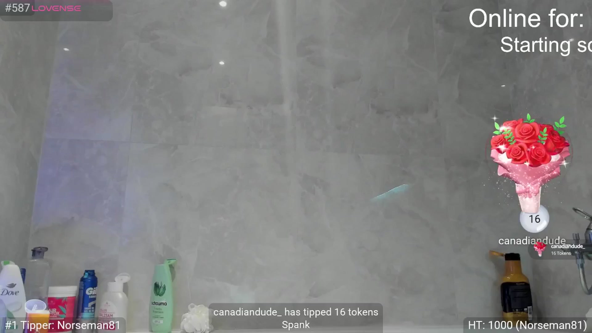 Gallery image thumbnail from Dani_Angel's myfreecams stream on, 10/10/2025, 22:22 image 19 of 20