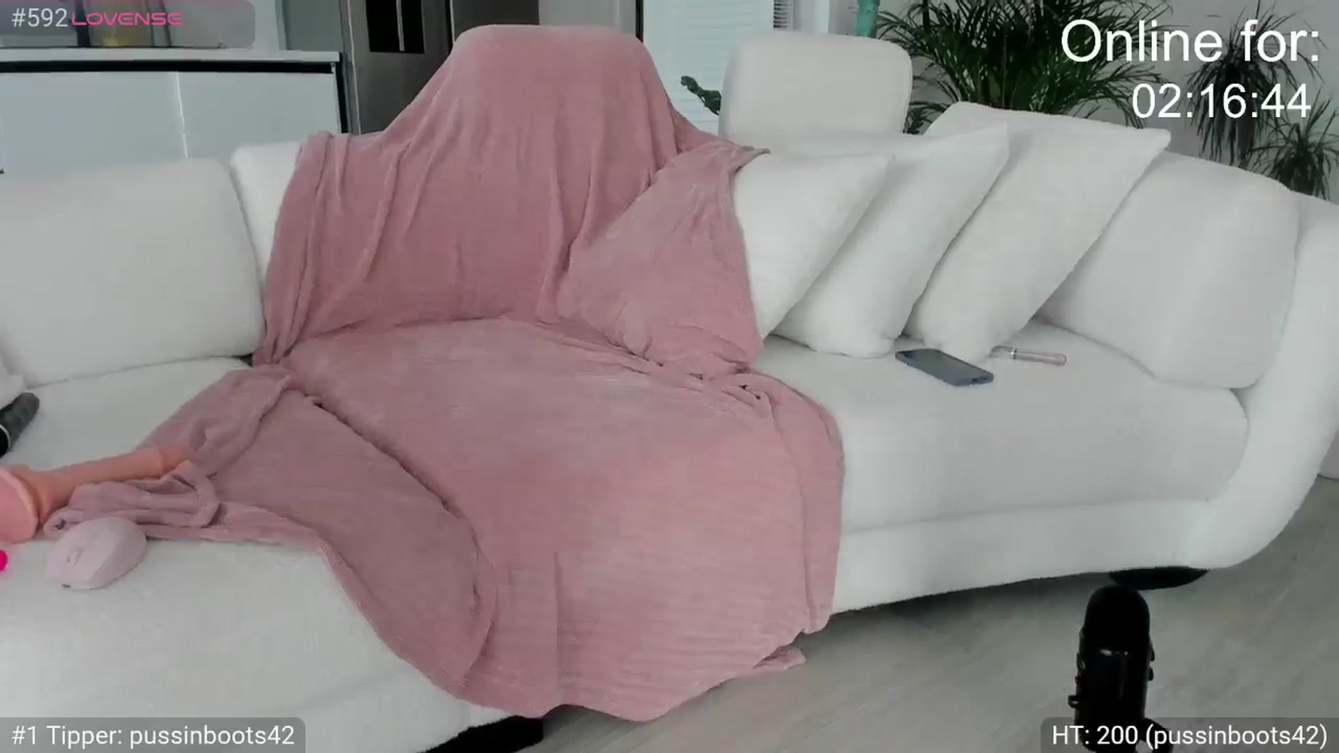 Gallery image thumbnail from Dani_Angel's myfreecams stream on, 10/12/2025, 14:27 image 5 of 20