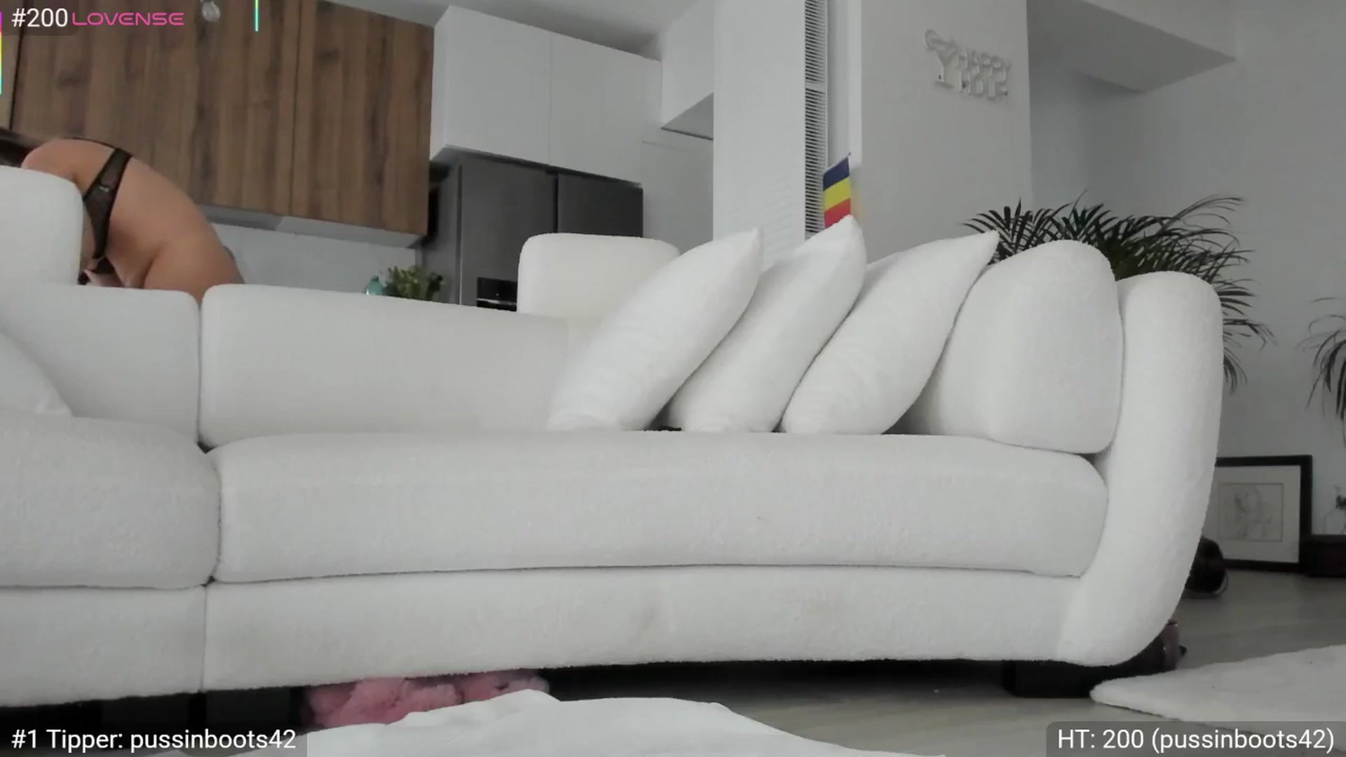 Gallery image thumbnail from Dani_Angel's myfreecams stream on, 11/07/2025, 09:04 image 2 of 20