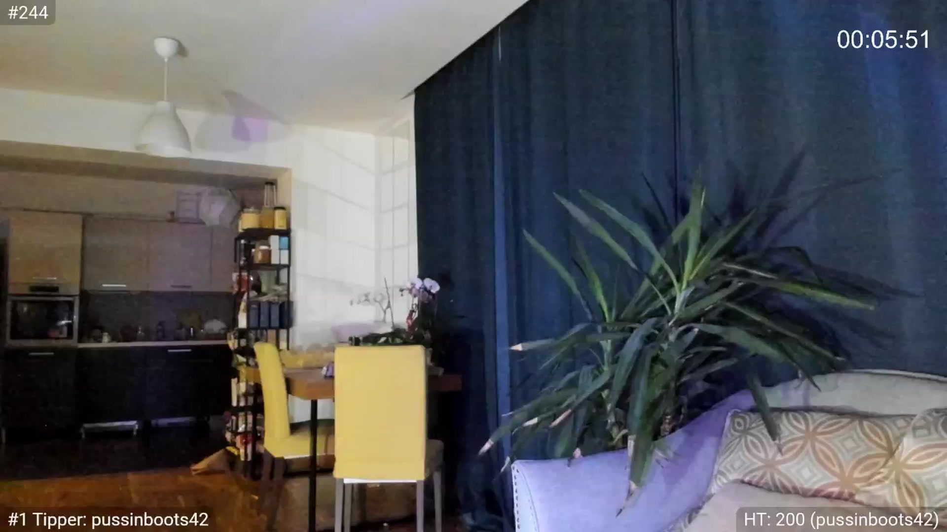 Gallery image thumbnail from Dani_Angel's myfreecams stream on, 03/22/2026, 24:01 image 1 of 20