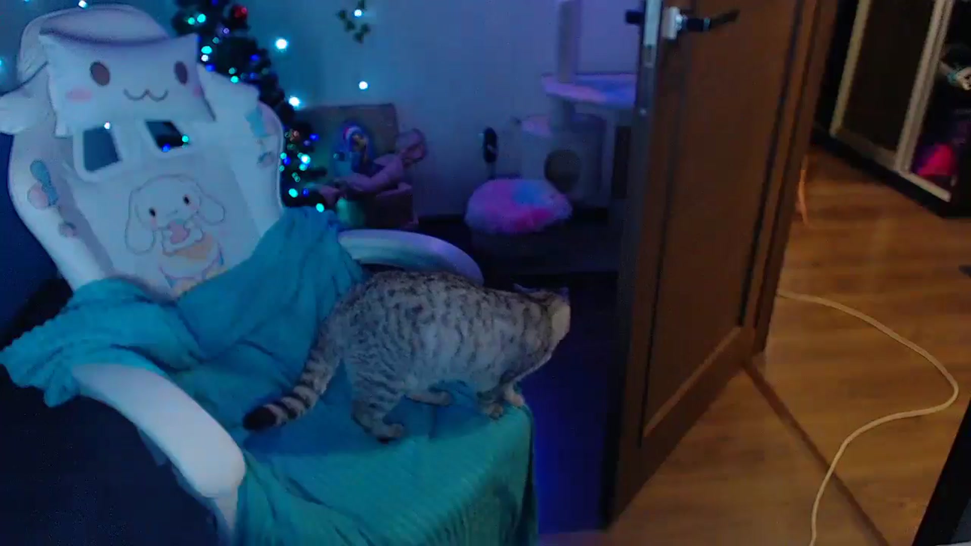 Gallery image thumbnail from DanielaTrue's myfreecams stream on, 12/25/2024, 13:04 image 8 of 20