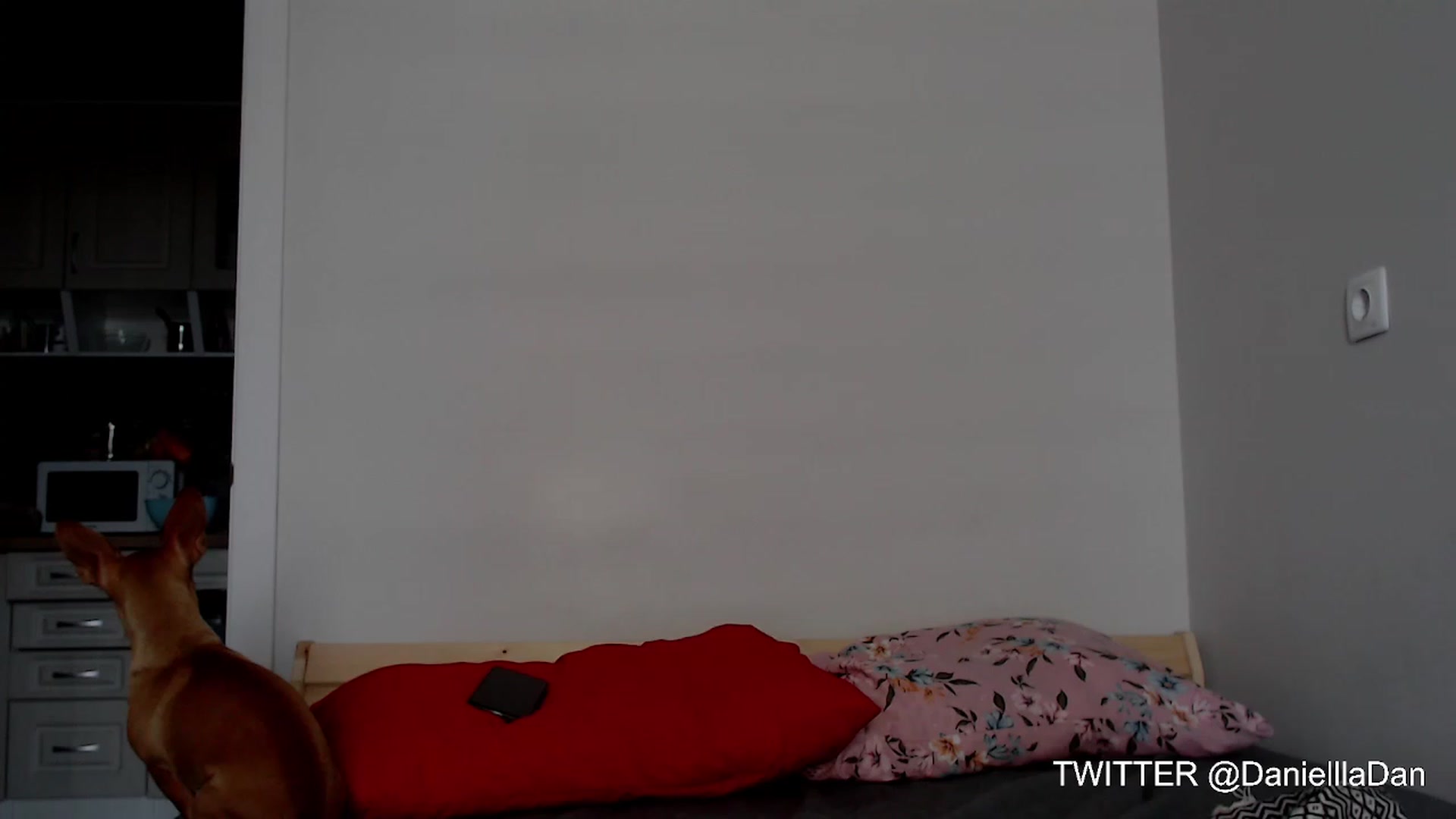 Gallery image thumbnail from Danielladan's myfreecams stream on, 12/08/2023, 11:09 image 14 of 20