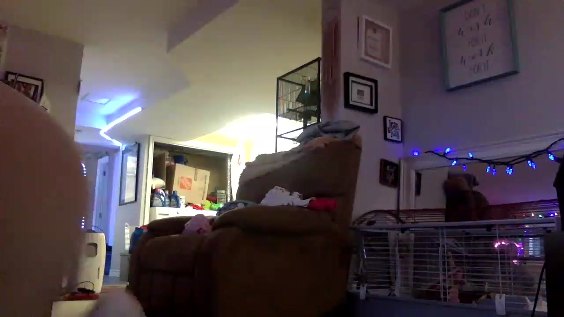 Gallery image thumbnail from DaniiAngel's myfreecams stream on, 12/07/2022, 21:03 image 2 of 20