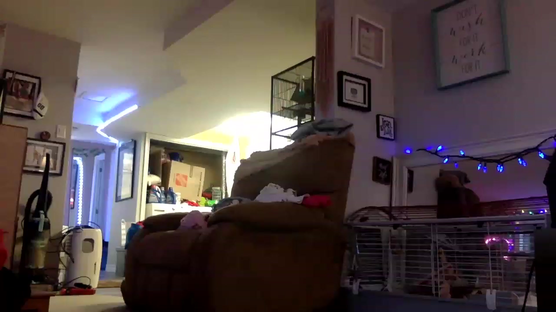 Gallery image thumbnail from DaniiAngel's myfreecams stream on, 12/07/2022, 21:03 image 8 of 20