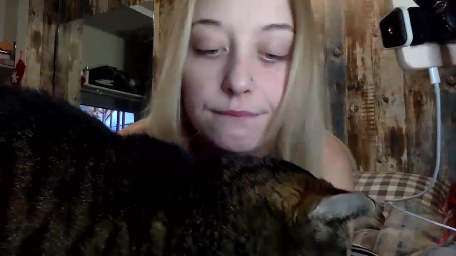 Gallery image thumbnail from DaniiAngel's myfreecams stream on, 12/23/2022, 05:01 image 3 of 20