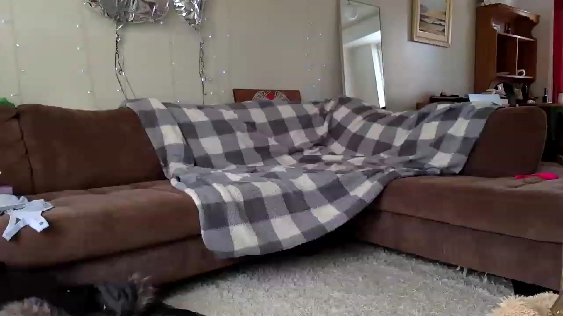Gallery image thumbnail from DaniiAngel's myfreecams stream on, 03/14/2023, 16:31 image 15 of 20