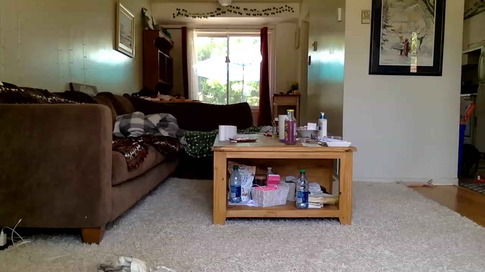 Gallery image thumbnail from DaniiAngel's myfreecams stream on, 05/29/2023, 16:47 image 20 of 20