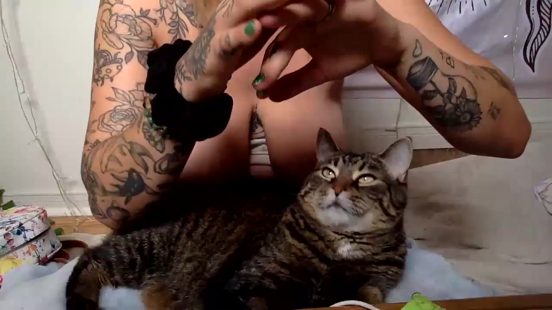 Gallery image thumbnail from DaniiAngel's myfreecams stream on, 07/24/2023, 17:03 image 8 of 20
