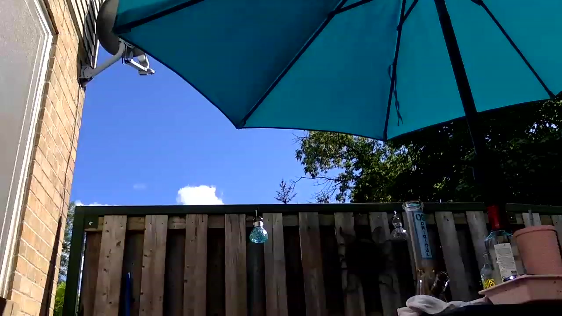 Gallery image thumbnail from DaniiAngel's myfreecams stream on, 08/12/2023, 20:46 image 18 of 20