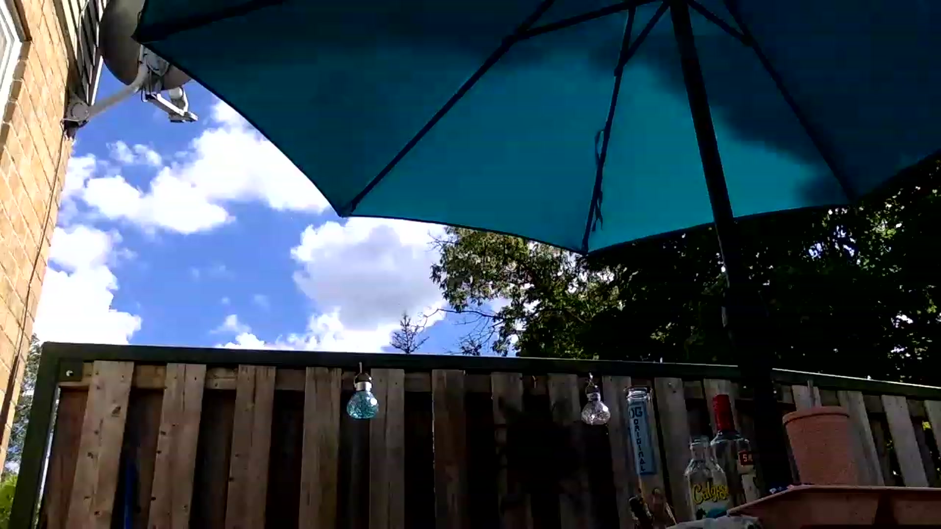 Gallery image thumbnail from DaniiAngel's myfreecams stream on, 08/12/2023, 21:04 image 3 of 20
