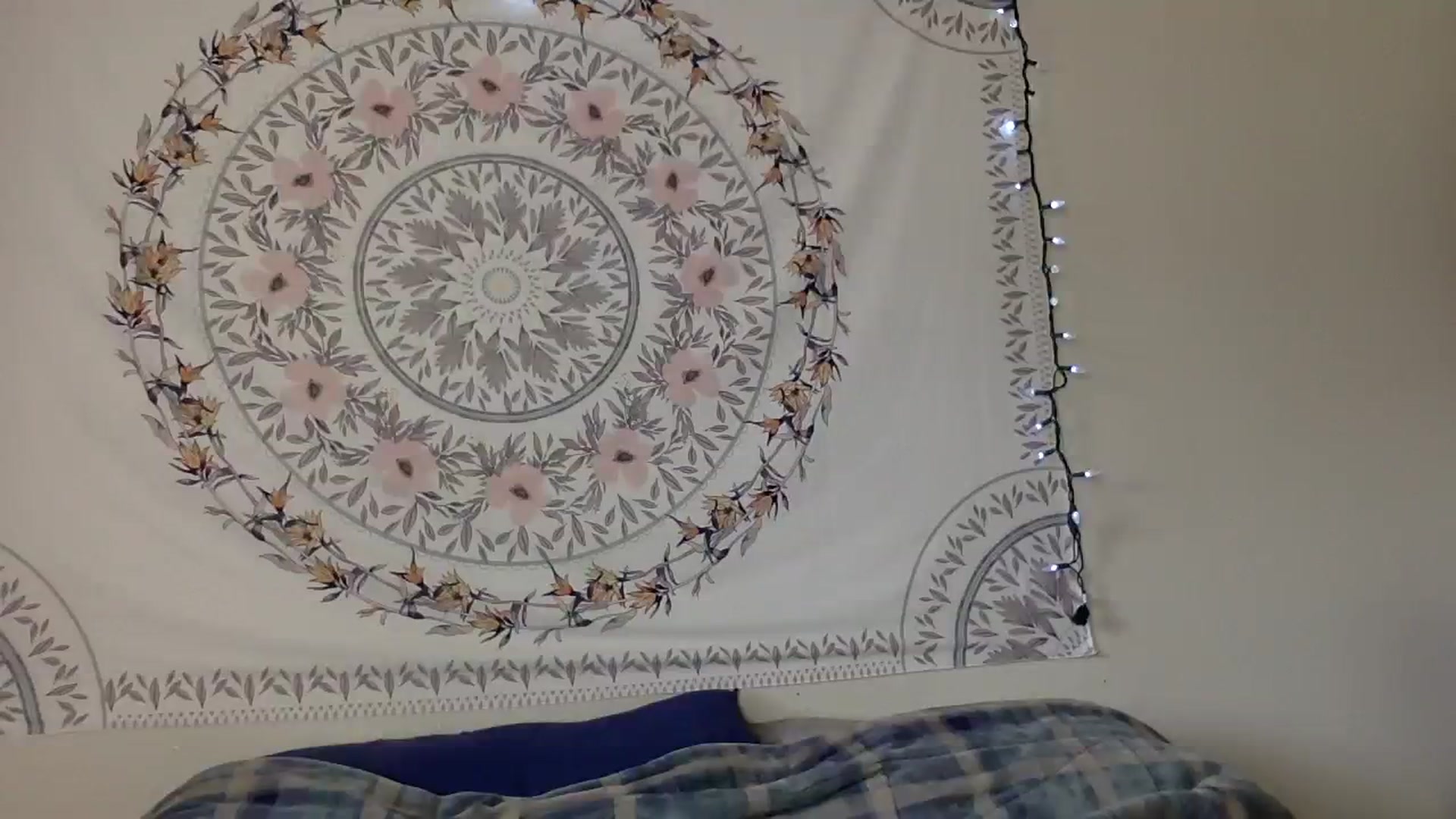 Gallery image thumbnail from DaniiAngel's myfreecams stream on, 08/14/2023, 21:02 image 15 of 20