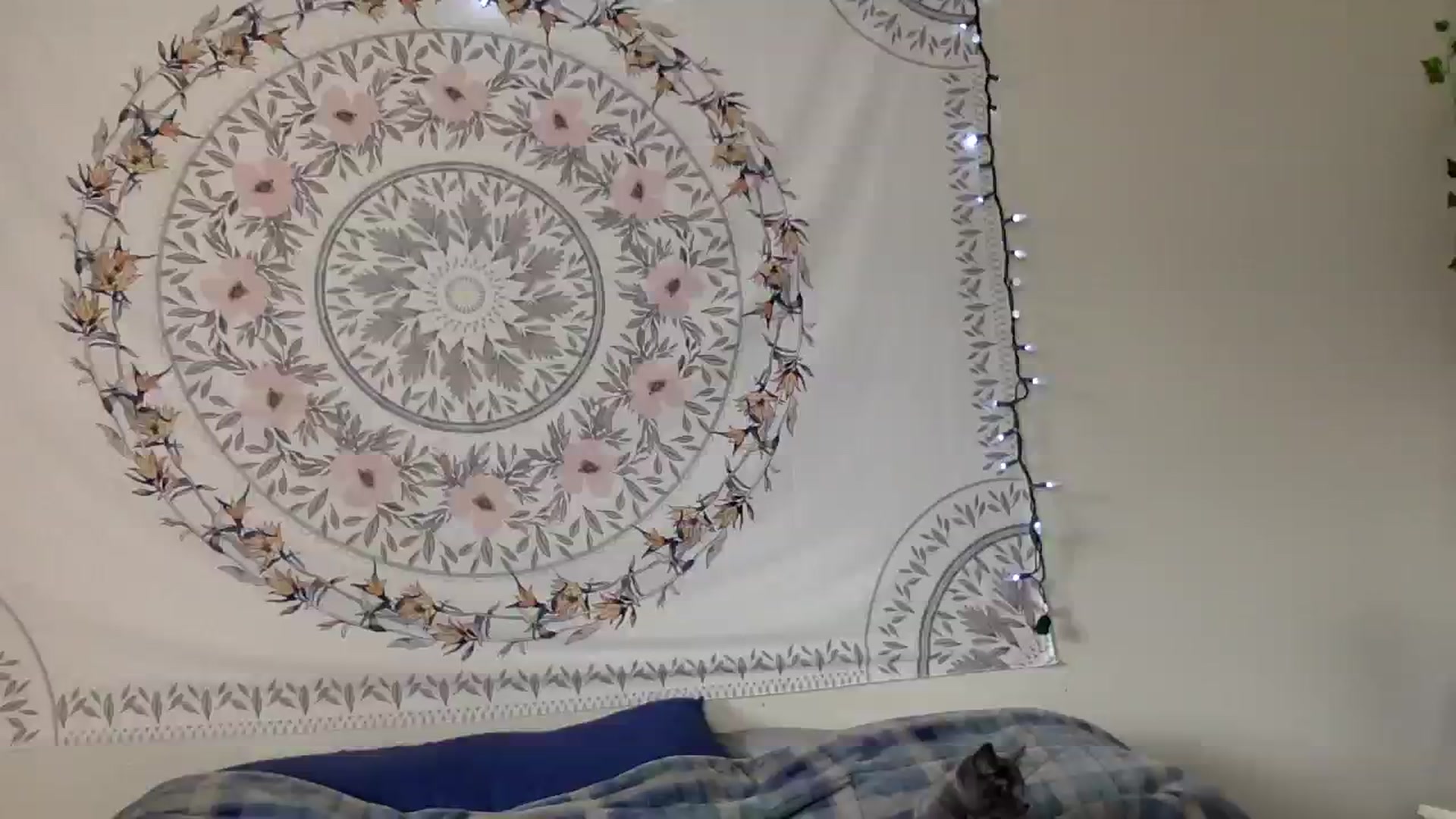 Gallery image thumbnail from DaniiAngel's myfreecams stream on, 08/14/2023, 21:02 image 1 of 20