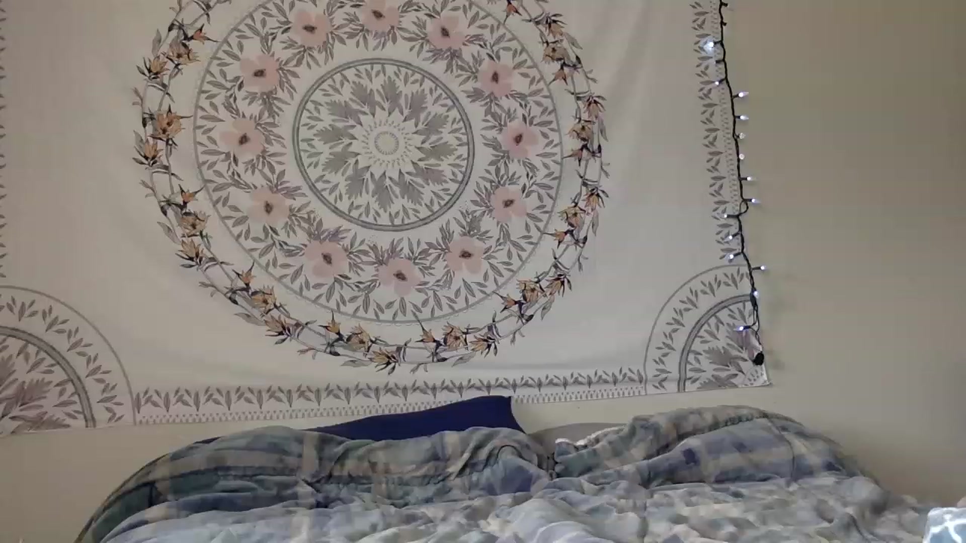 Gallery image thumbnail from DaniiAngel's myfreecams stream on, 08/15/2023, 21:25 image 5 of 20