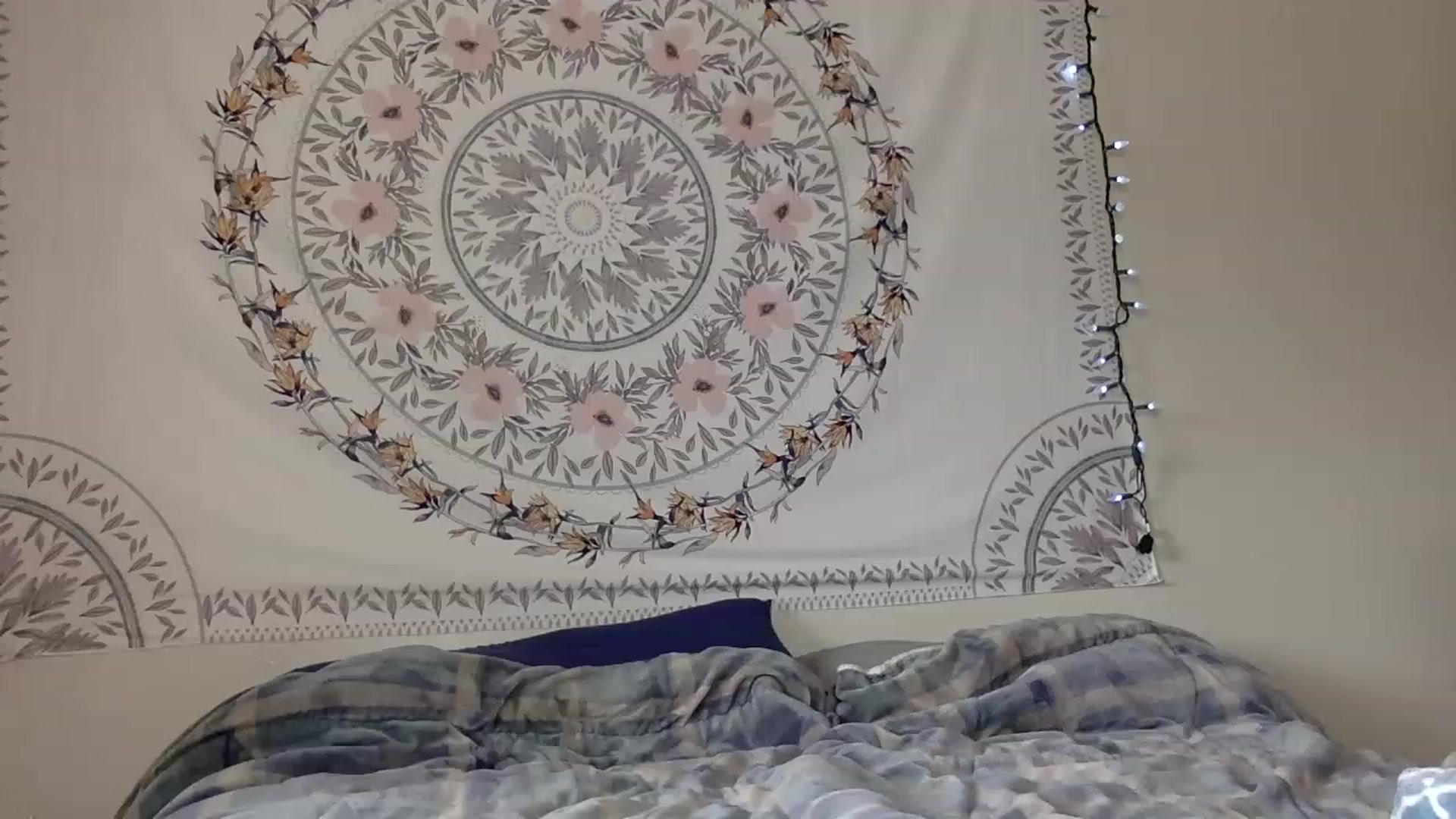 Gallery image thumbnail from DaniiAngel's myfreecams stream on, 08/15/2023, 21:25 image 10 of 20