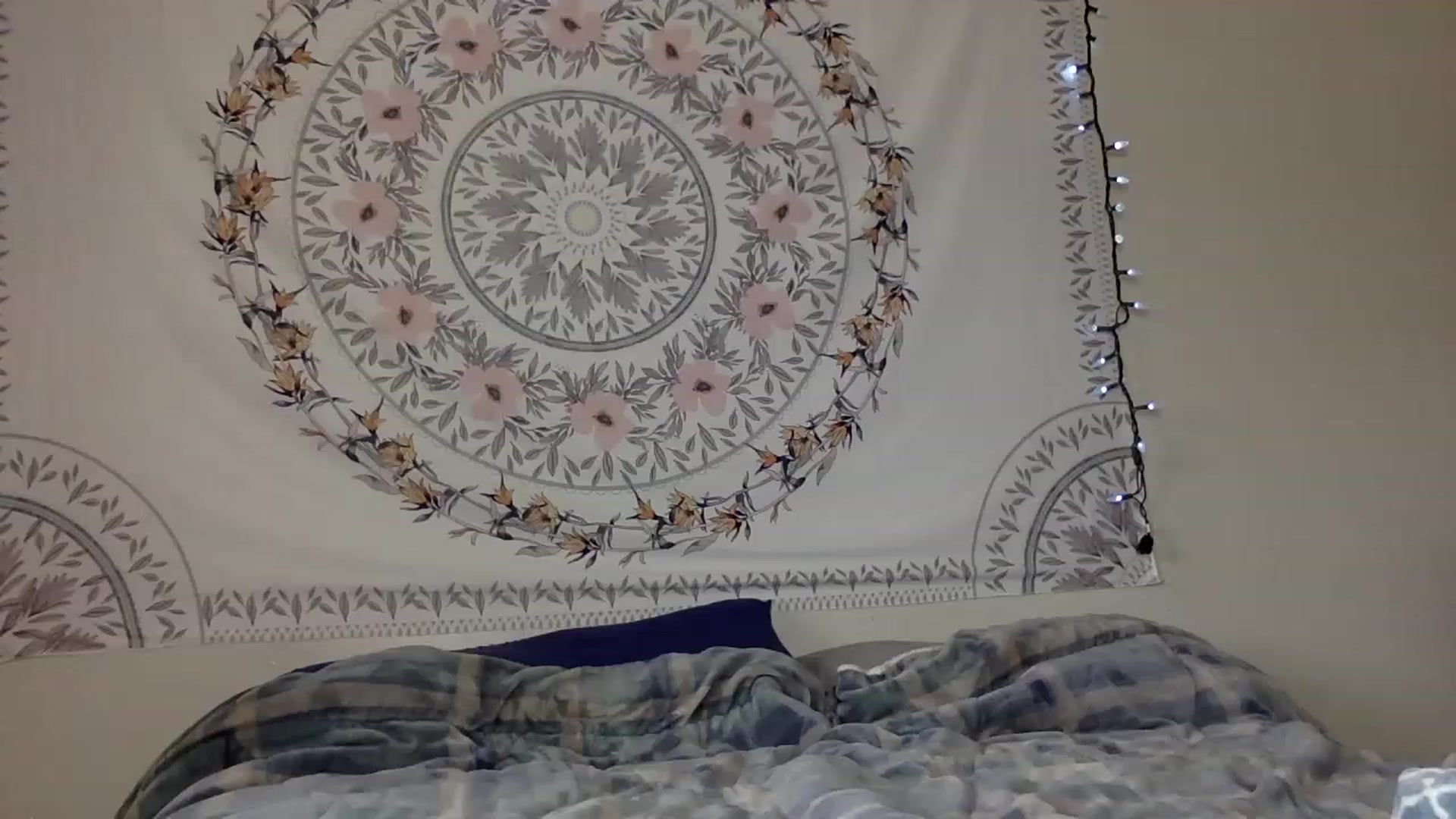 Gallery image thumbnail from DaniiAngel's myfreecams stream on, 08/15/2023, 21:25 image 15 of 20