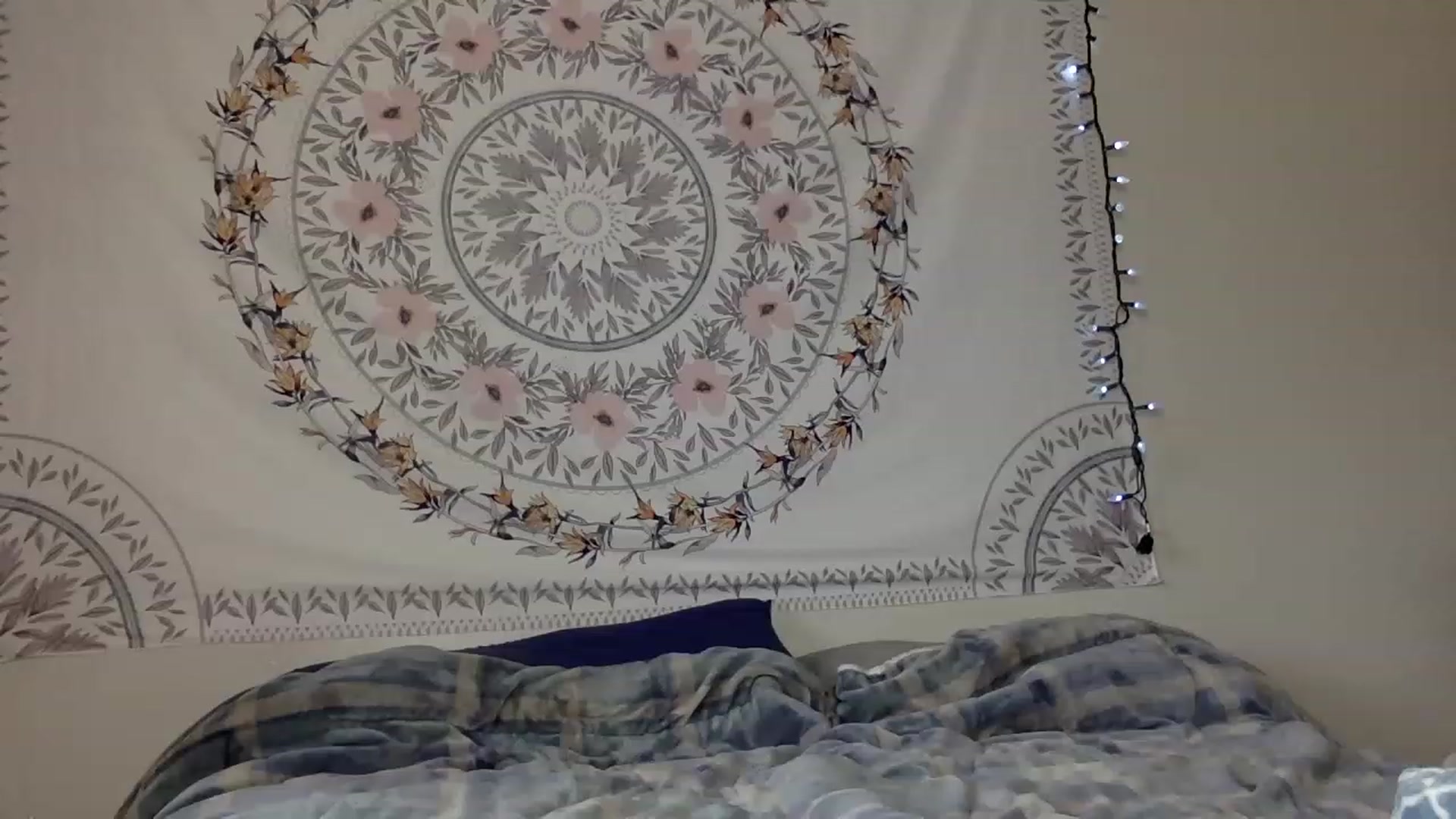 Gallery image thumbnail from DaniiAngel's myfreecams stream on, 08/15/2023, 21:25 image 18 of 20