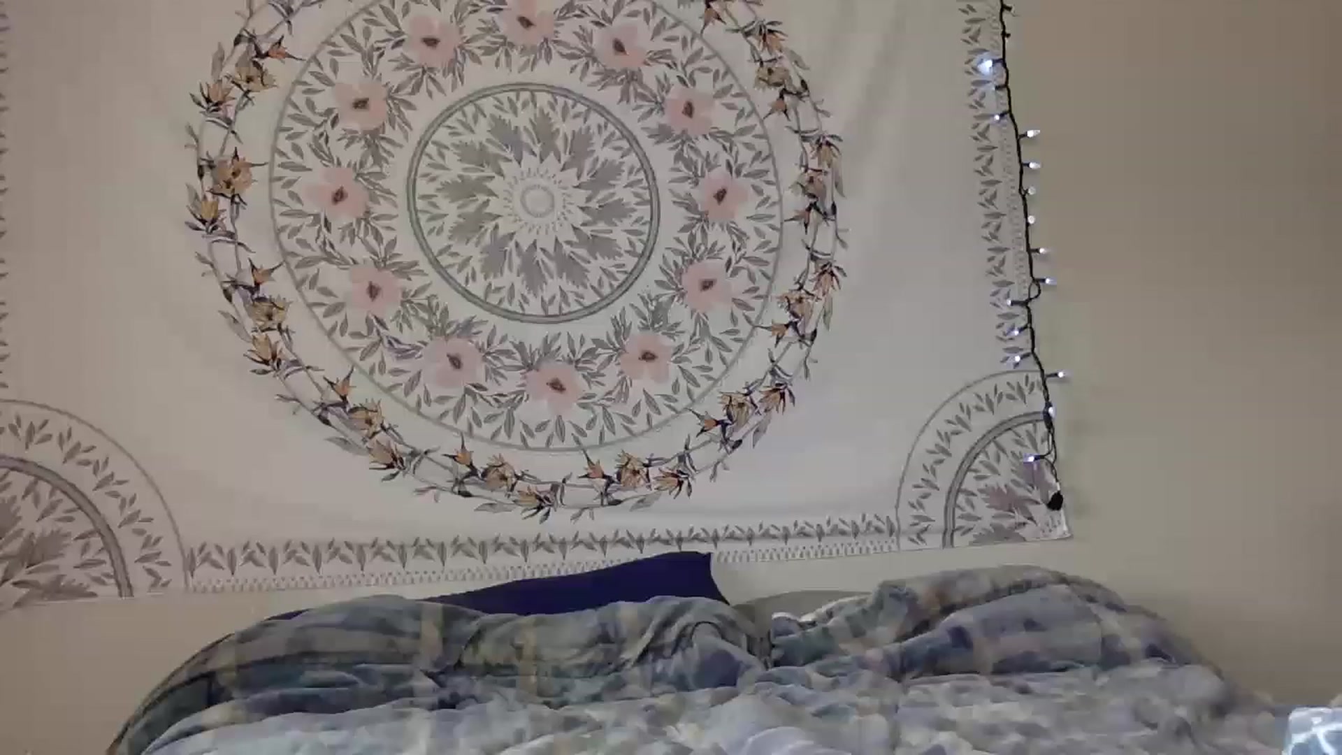 Gallery image thumbnail from DaniiAngel's myfreecams stream on, 08/15/2023, 21:25 image 9 of 20