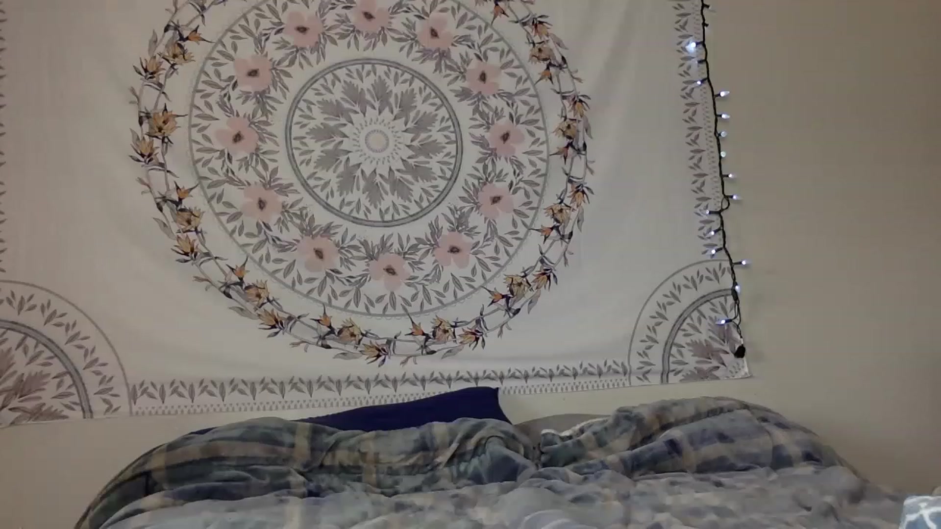 Gallery image thumbnail from DaniiAngel's myfreecams stream on, 08/15/2023, 21:25 image 14 of 20
