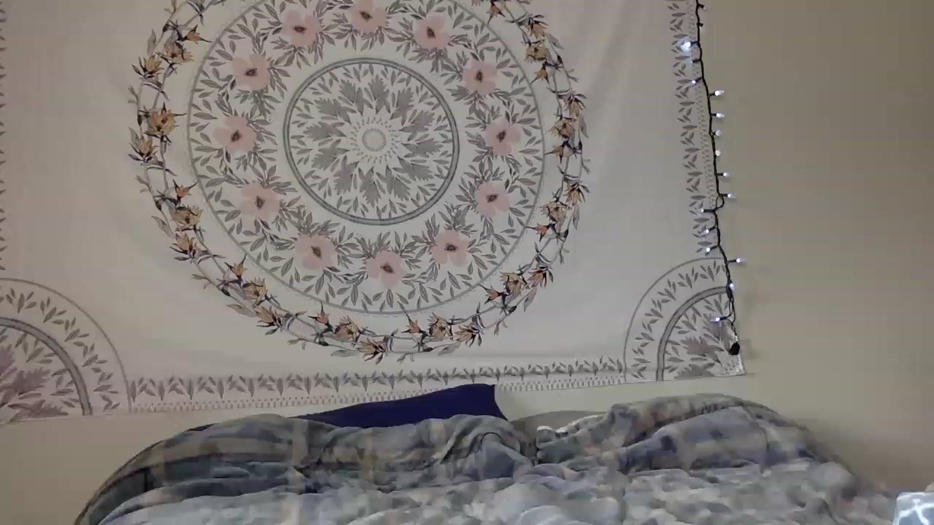 Gallery image thumbnail from DaniiAngel's myfreecams stream on, 08/15/2023, 21:25 image 12 of 20