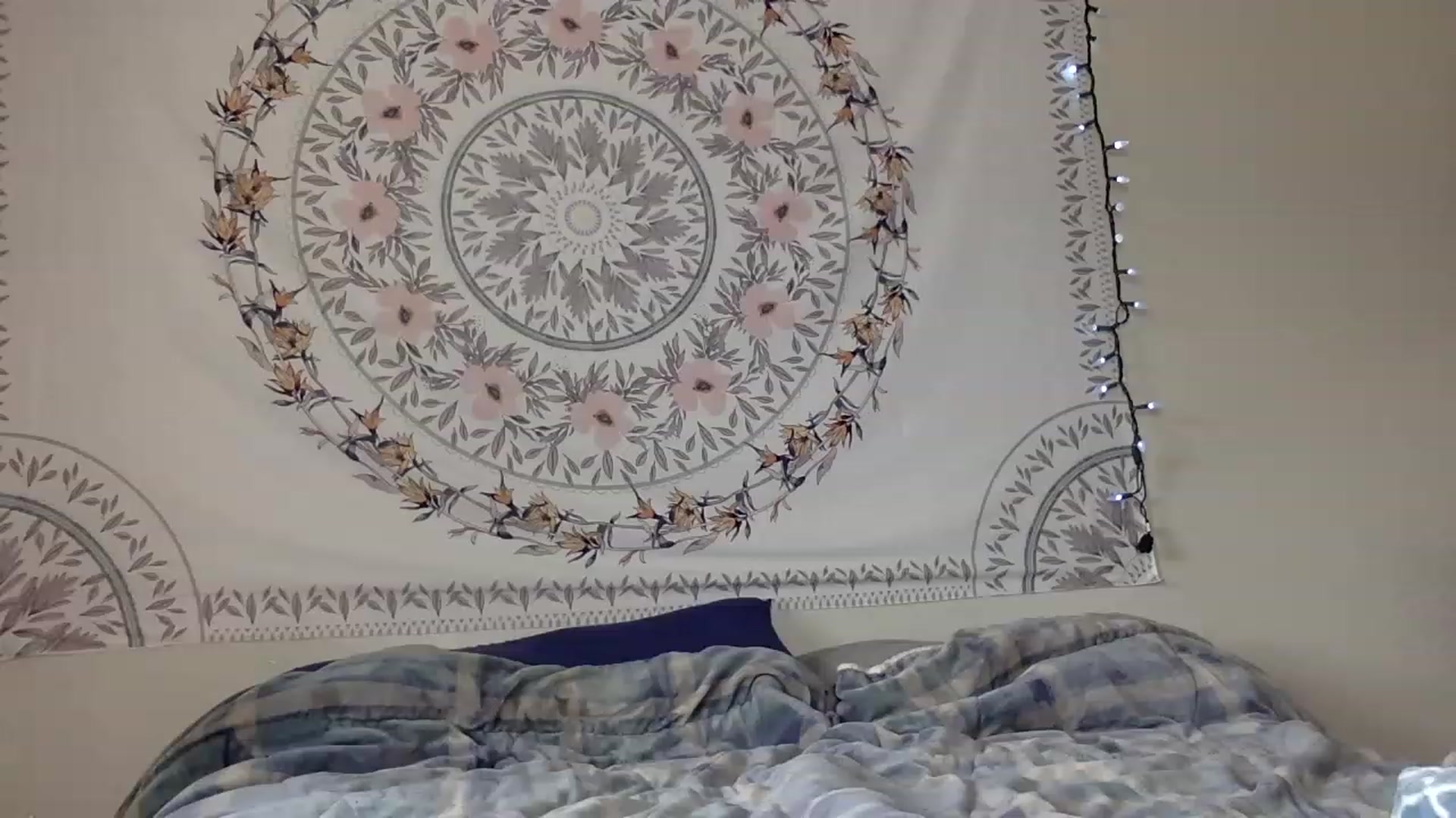 Gallery image thumbnail from DaniiAngel's myfreecams stream on, 08/15/2023, 21:25 image 11 of 20
