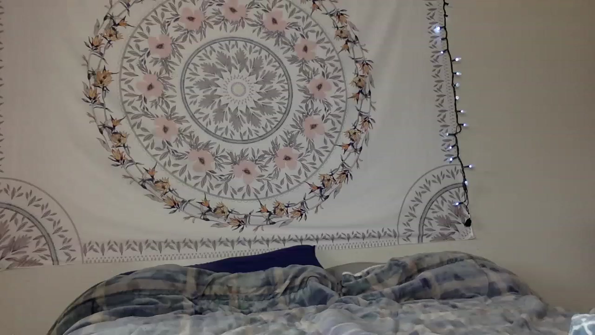 Gallery image thumbnail from DaniiAngel's myfreecams stream on, 08/15/2023, 21:25 image 19 of 20