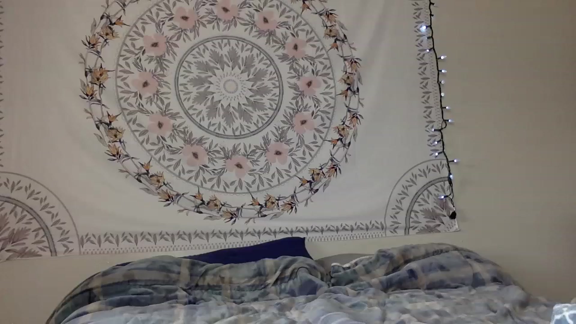 Gallery image thumbnail from DaniiAngel's myfreecams stream on, 08/15/2023, 21:25 image 13 of 20