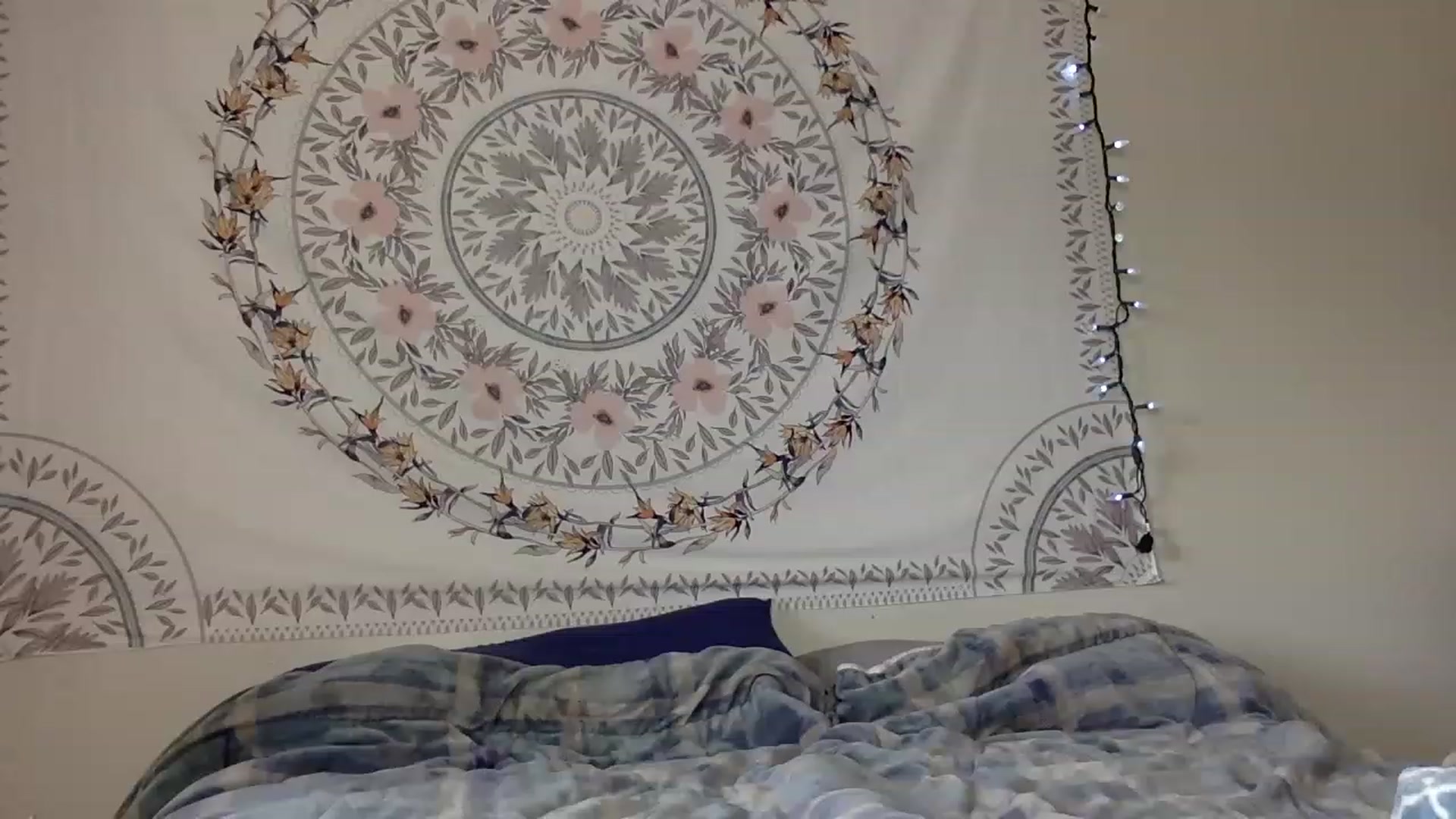 Gallery image thumbnail from DaniiAngel's myfreecams stream on, 08/15/2023, 21:25 image 7 of 20