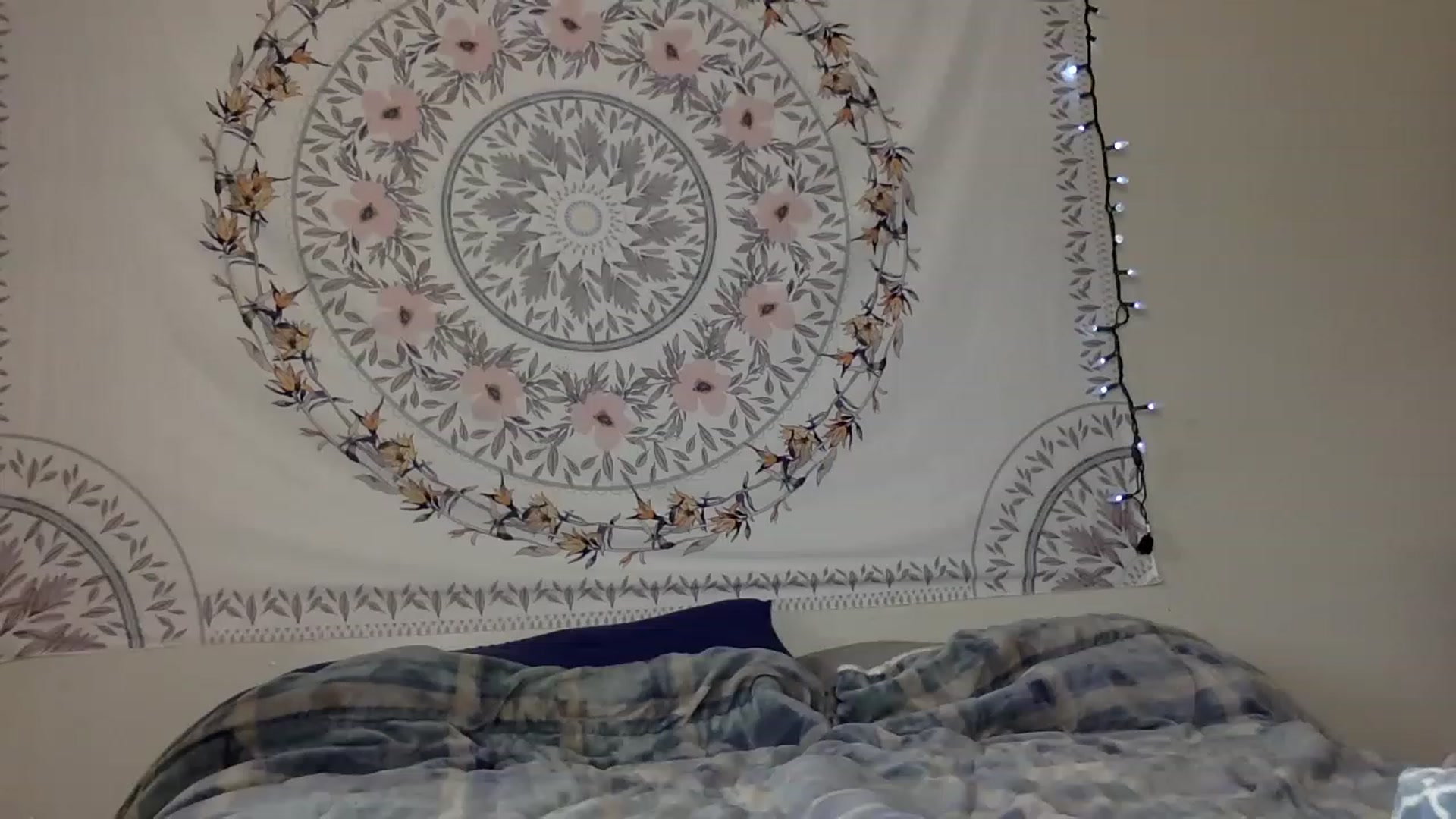 Gallery image thumbnail from DaniiAngel's myfreecams stream on, 08/15/2023, 21:25 image 20 of 20