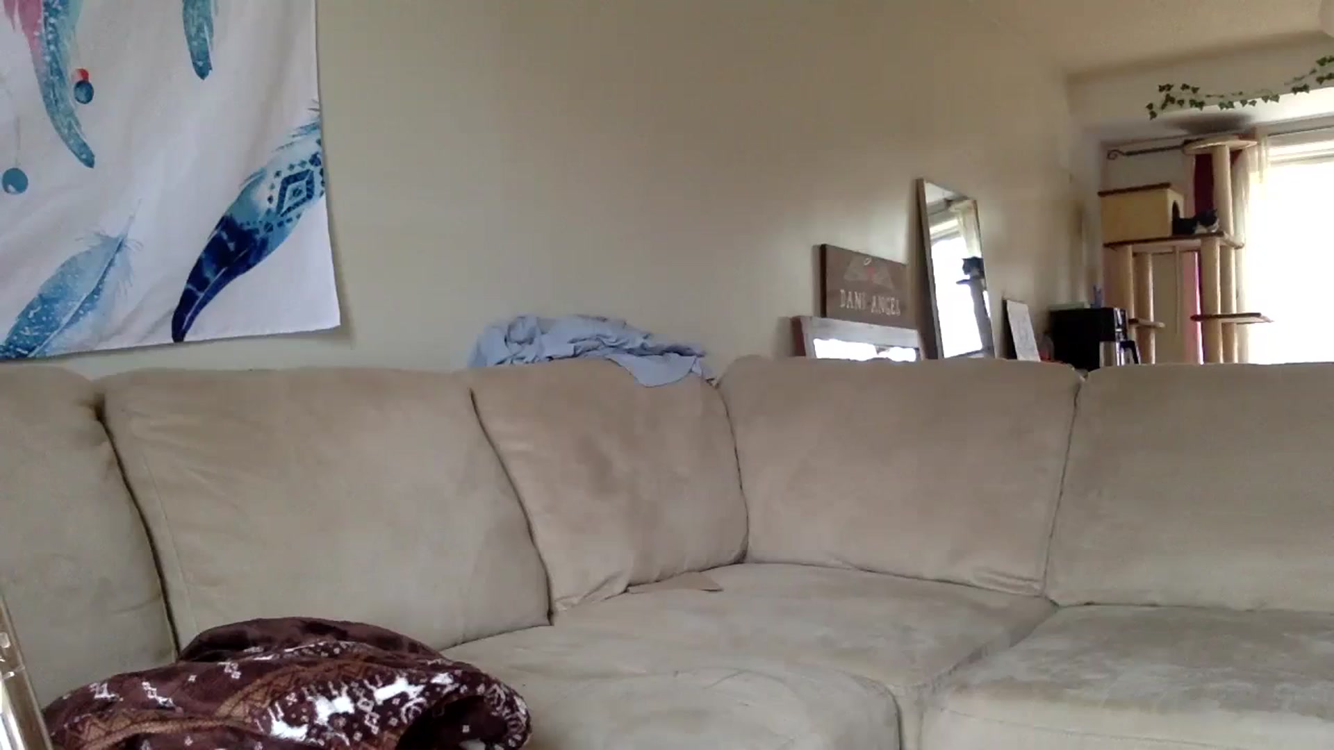 Gallery image thumbnail from DaniiAngel's myfreecams stream on, 10/25/2023, 19:45 image 5 of 20