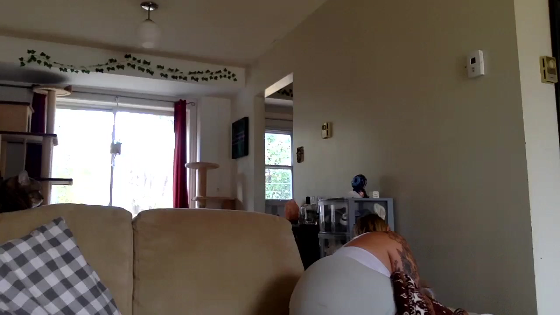 Gallery image thumbnail from DaniiAngel's myfreecams stream on, 11/03/2023, 16:49 image 4 of 20