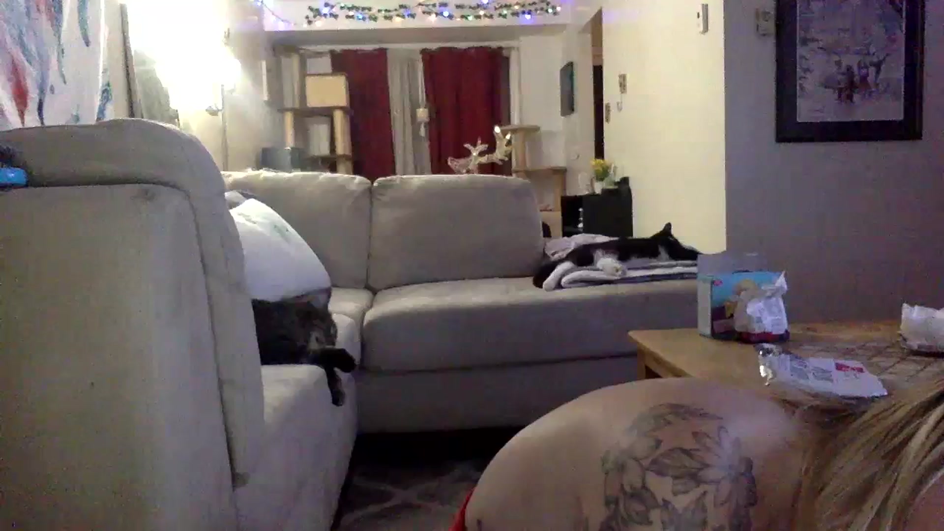 Gallery image thumbnail from DaniiAngel's myfreecams stream on, 12/27/2023, 02:25 image 15 of 20