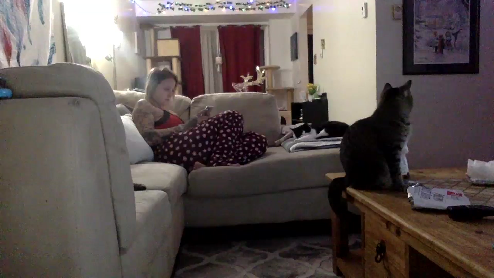 Gallery image thumbnail from DaniiAngel's myfreecams stream on, 12/27/2023, 02:25 image 20 of 20